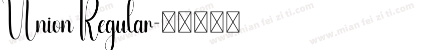Union Regular字体转换